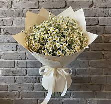 Букет цветов из:  Ромашки #REPLACE_PRED# Клишино