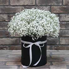 Цветочная композиция из Гипсофила в шляпной коробке #REPLACE_PRED# Клишино