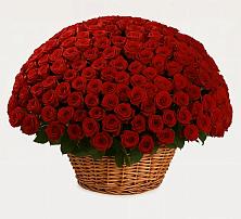 Премиум букет из: Розы в Клишино